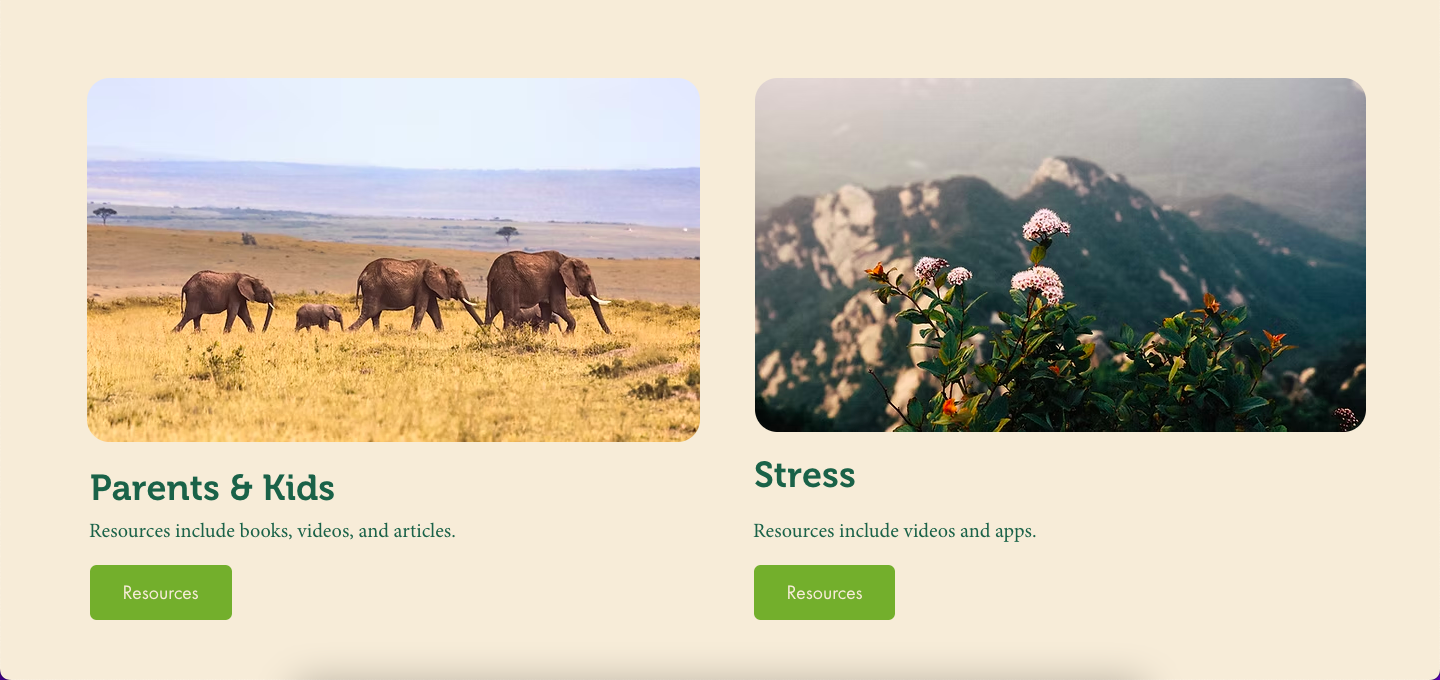 River Forest Psych resources section